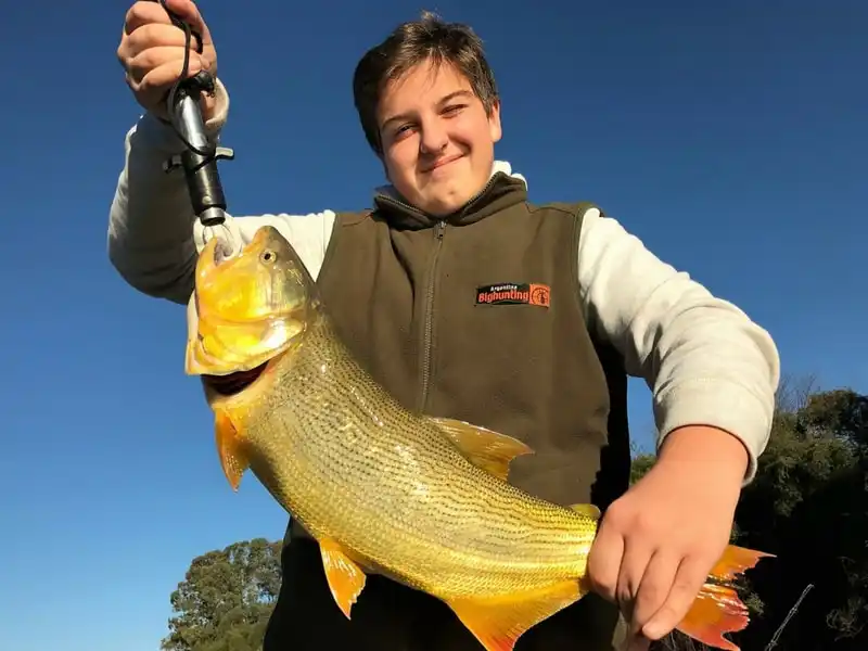 Golden Dorado fishing