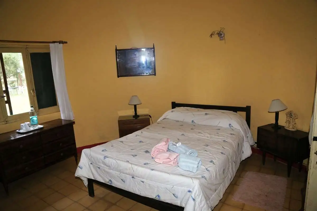 Axis and Blackbuck Special Package gallery image 6