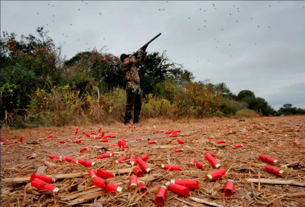 Cast and Blast gallery image 4