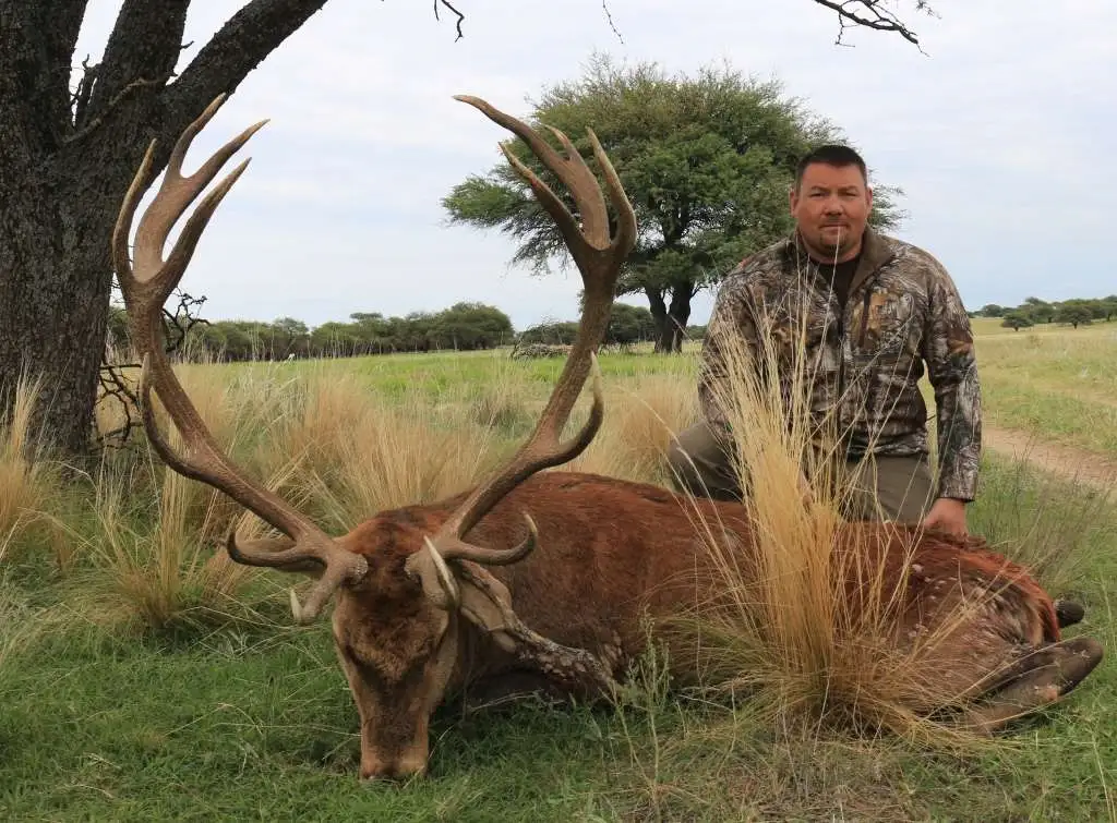 Free-range Red Stag hunt gallery image 5