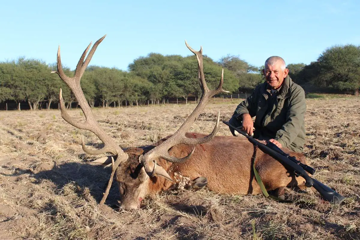 Free-range Red Stag hunt gallery image 6