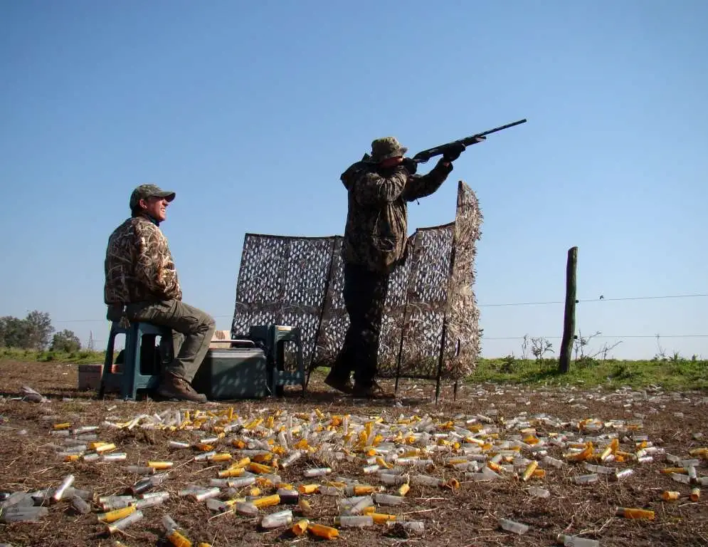 High volume dove shooting gallery image 4