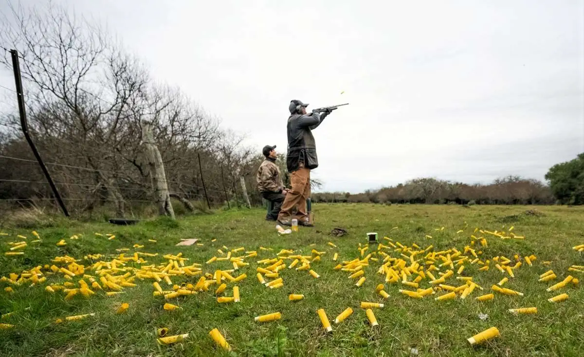 High volume dove shooting gallery image 5