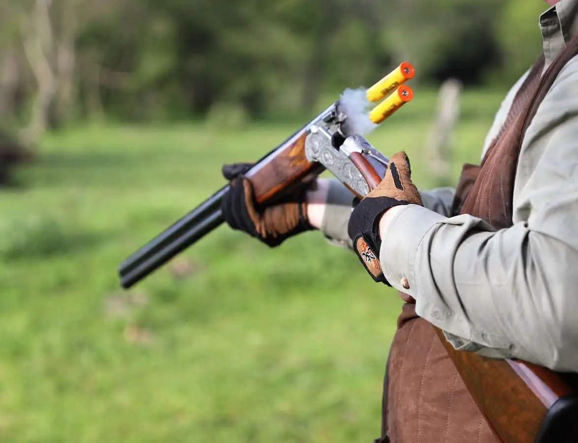 Mixed bag shooting gallery image 2