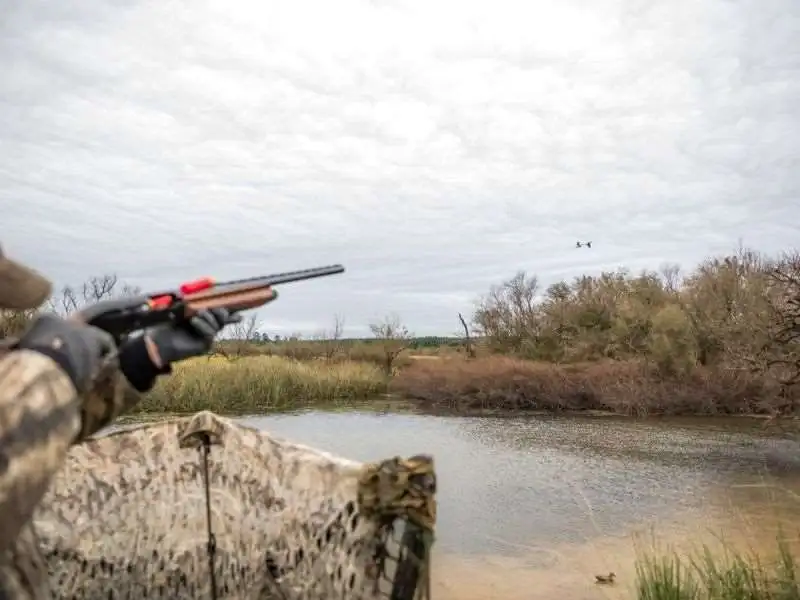 Mixed bag shooting gallery image 4