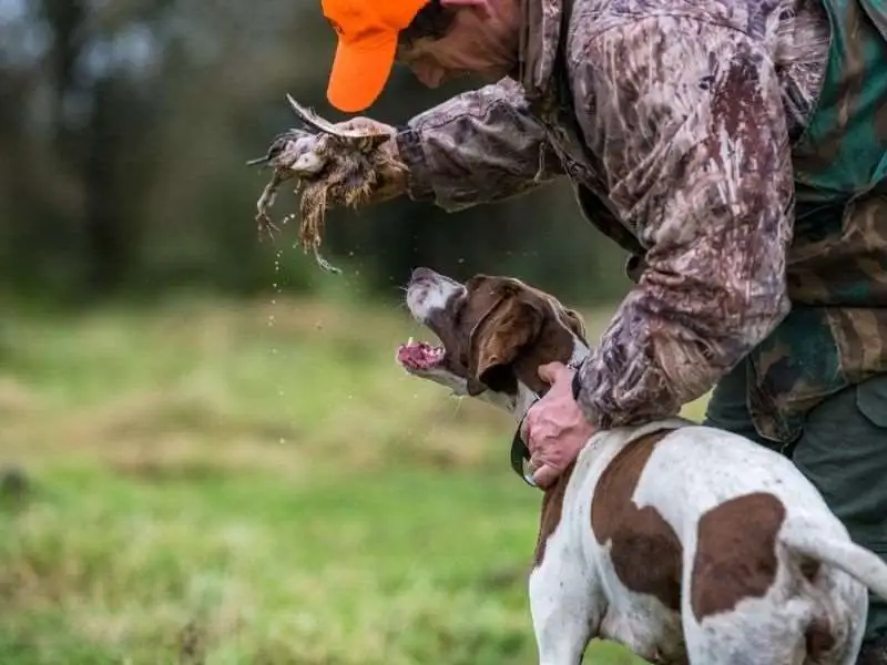 Mixed bag shooting gallery image 9