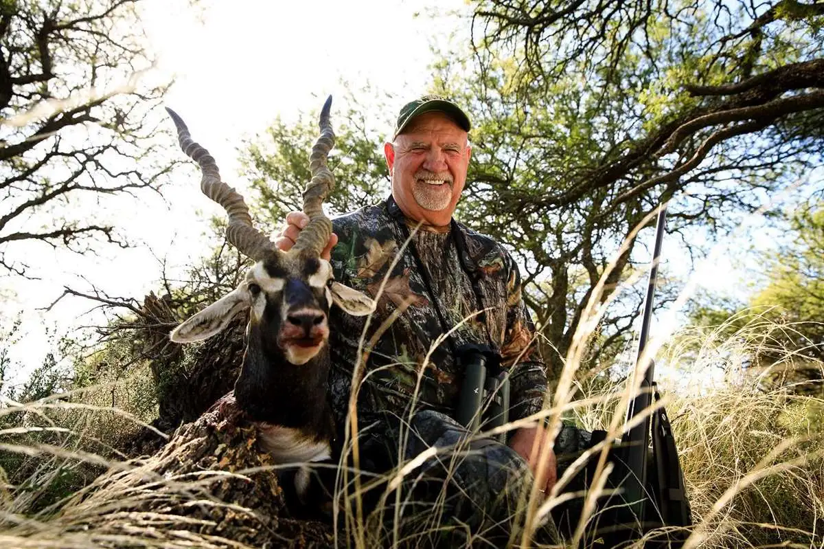 One day Blackbuck special gallery image 4