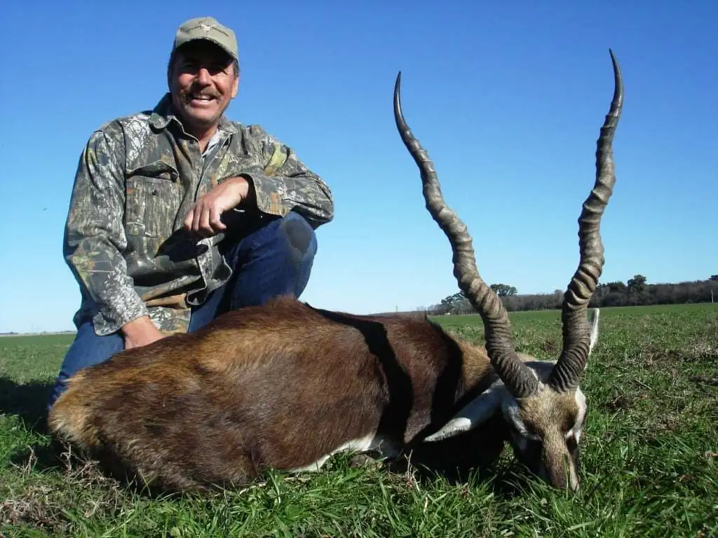 One day Blackbuck special gallery image 5