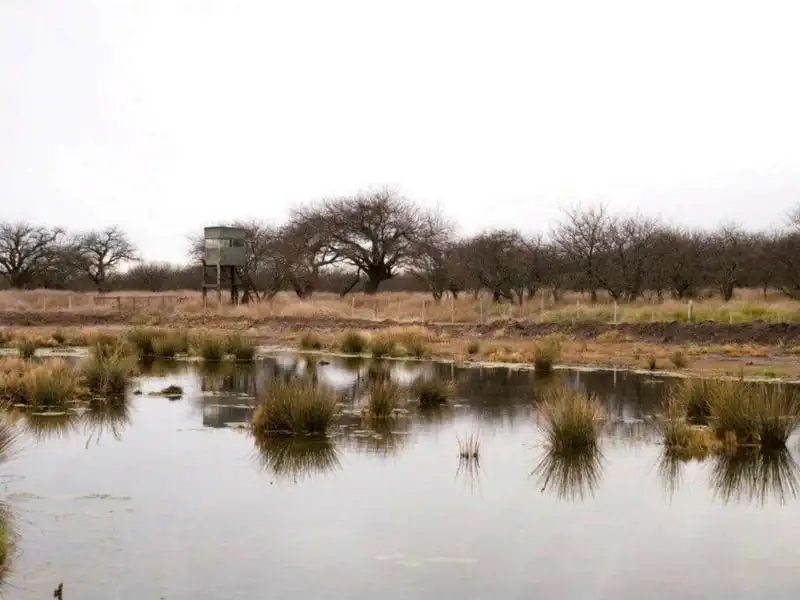 El Carrizal lodge dining space