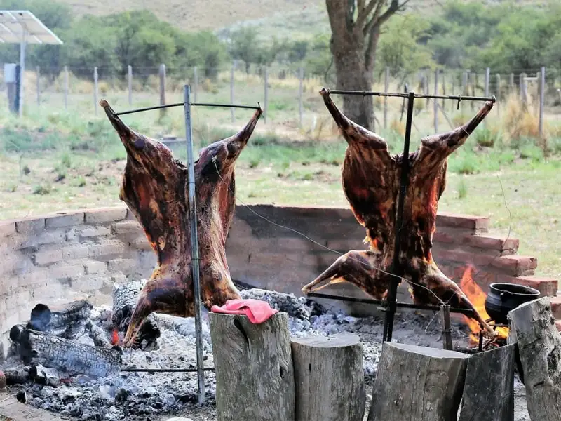 La Mota lodge landscape